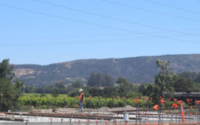 Panels Ready to Tilt